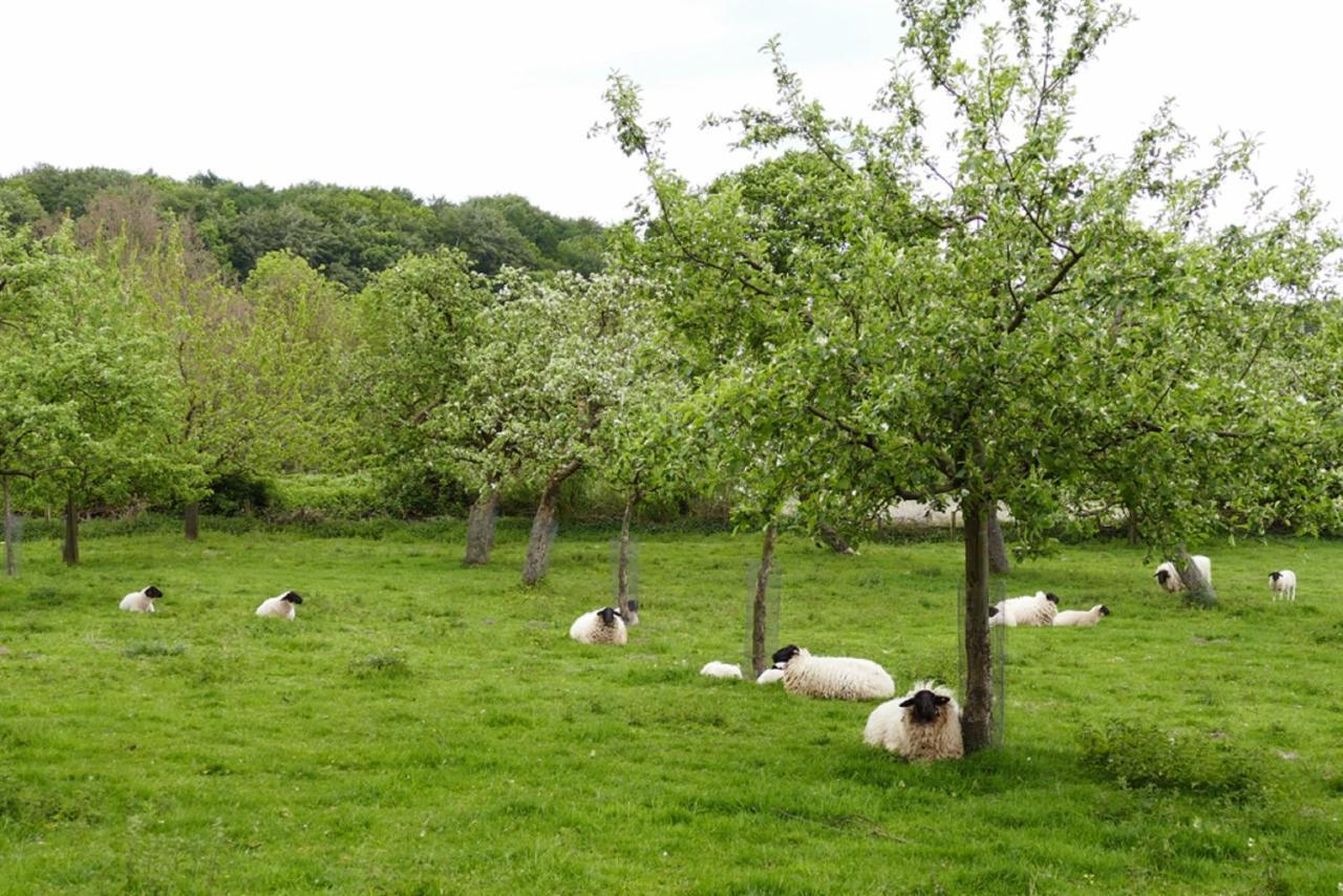 Ferienwohnung An Der Obstwiese Borgholzhausen Bagian luar foto